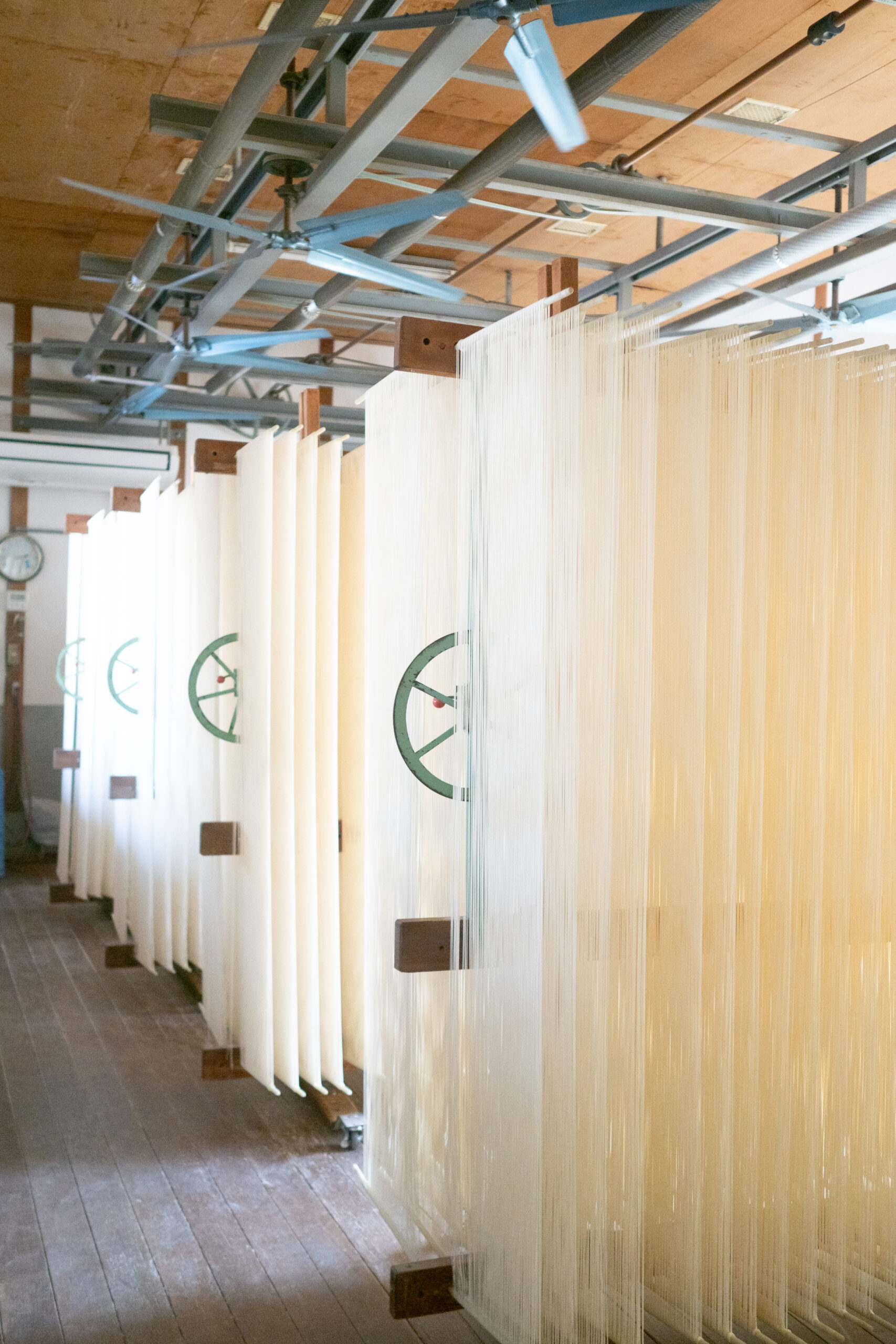 小豆島そうめんの選び方ガイド｜職人が教える失敗しない4つの基準