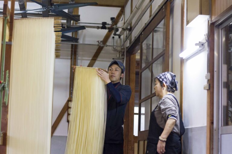 【職人監修】小豆島そうめん通販で失敗しない選び方｜産地直送・生そうめんの魅力
