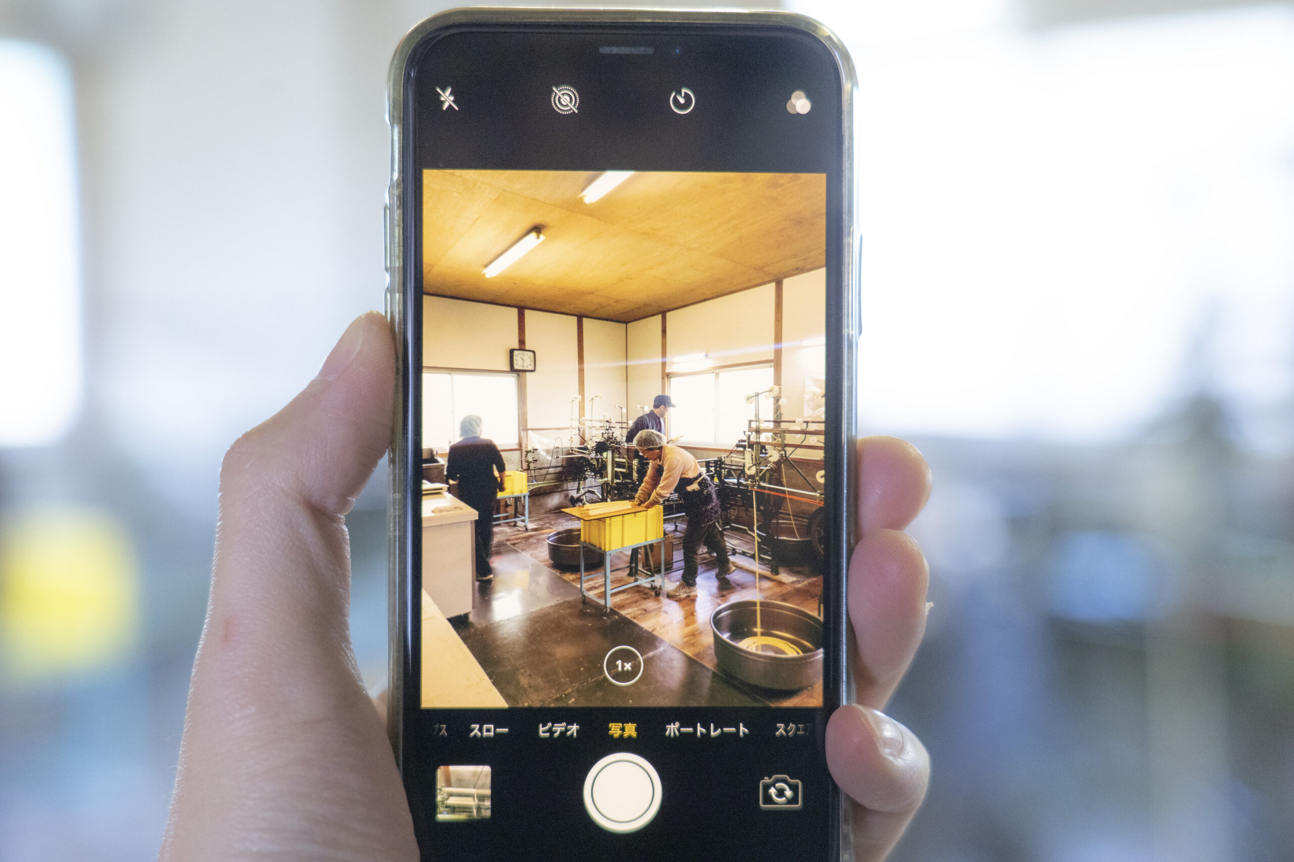 ネット通販で「ハズレ」を引かないために。職人が教える、本当に美味しい製麺所を見分ける3つの視点