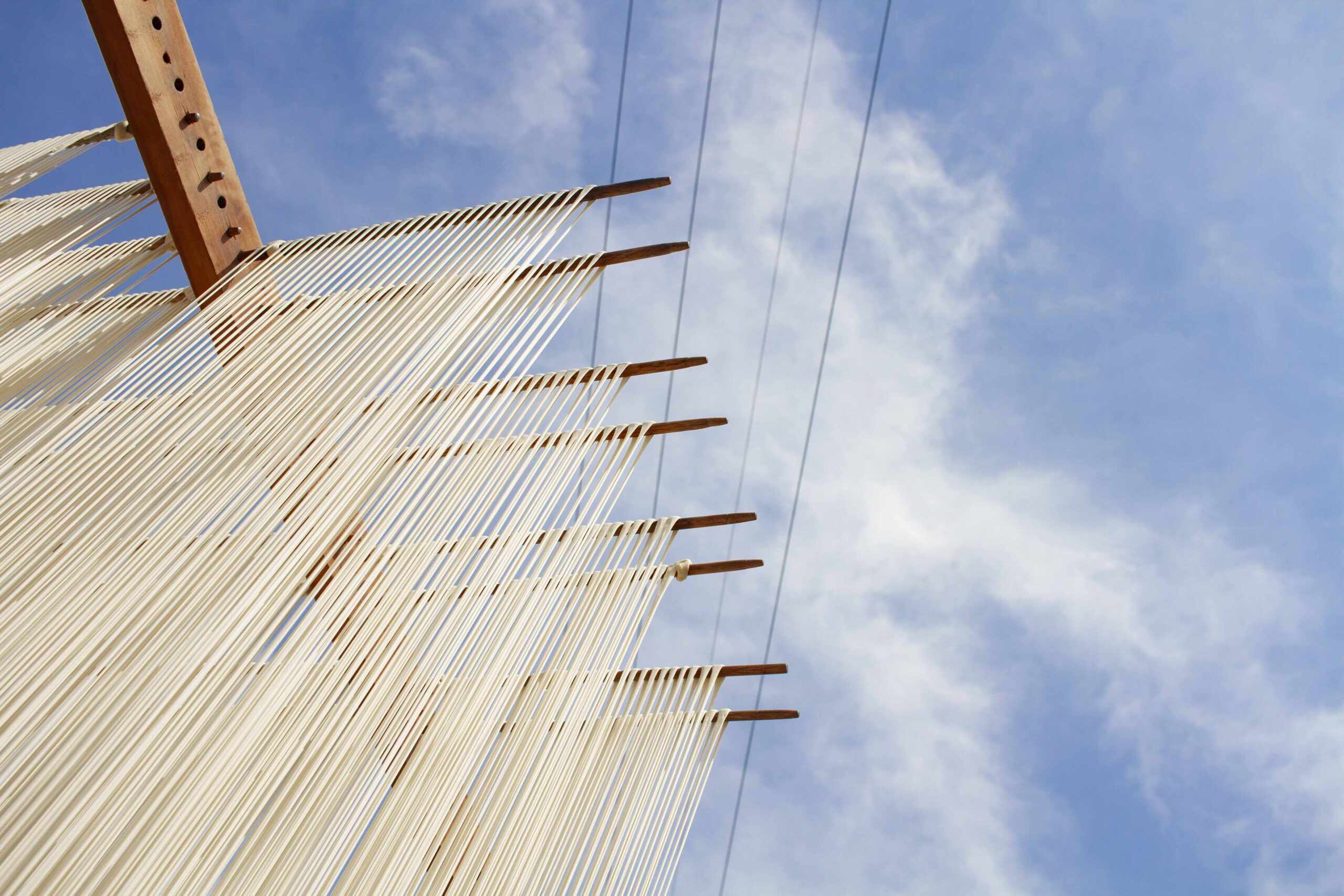【職人直伝】そうめんが固まる悩みにサヨナラ。茹でた後の「油」のひと手間で劇的に変わるプロの技