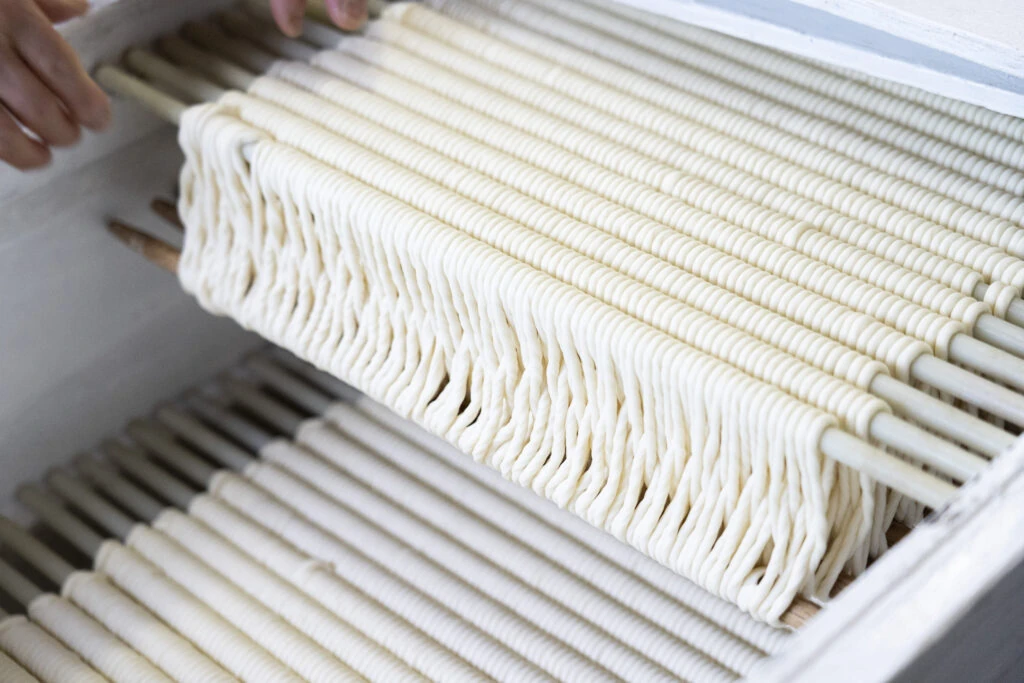 生そうめんのDSCの写真（293）